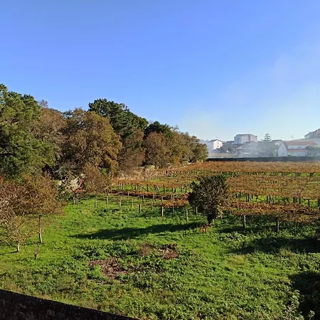 Pisiño De San Roque Apartamento